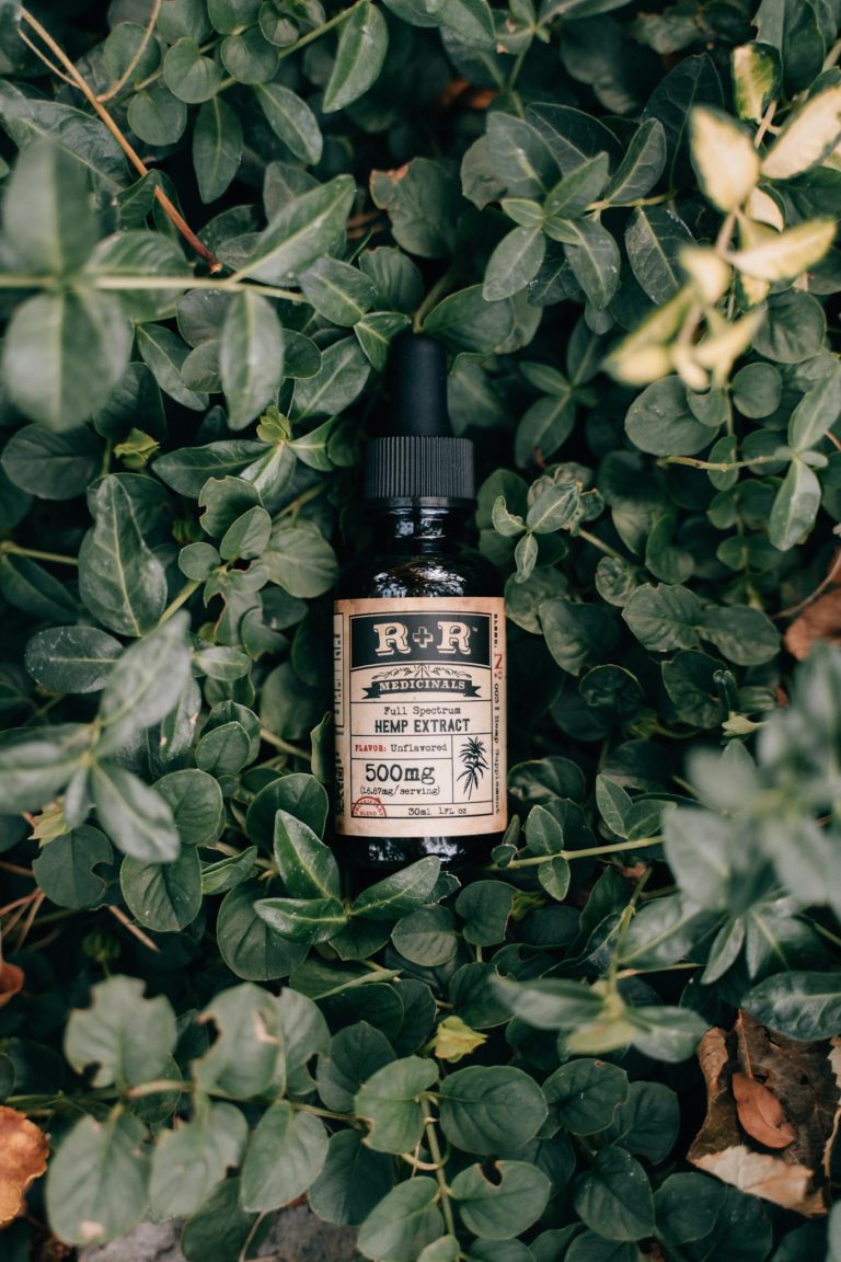 Close-up of 500mg CBD oil bottle surrounded by lush green leaves.
